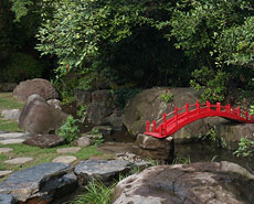 落ち着いた数寄屋造りの和室