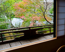 客室の広縁から望む美しい日本庭園