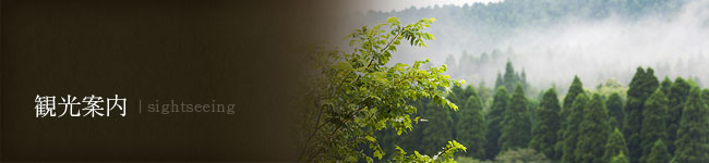 観光案内/Sightseeing